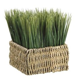 ZPG157 Grass in Basket
