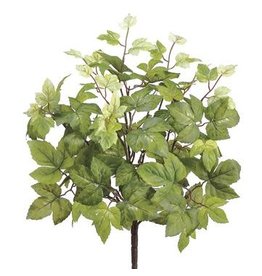 PBM392 20" Maple Leaf Bush