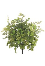 PBF532 16" Maidenhair Fern Bush