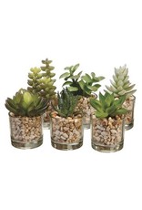 LQS346 3-4" Succulent  6 styles