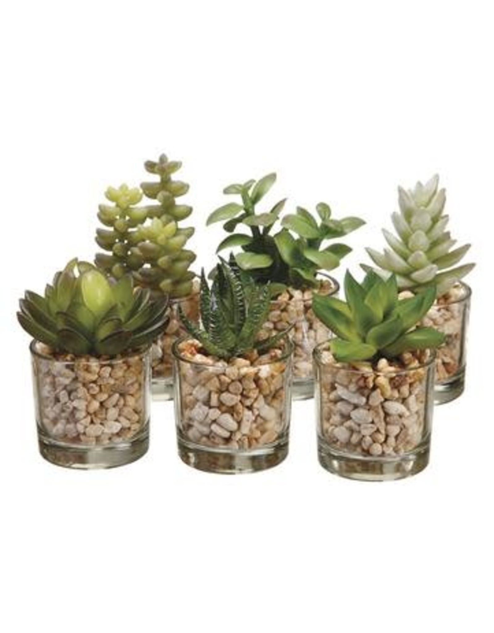 LQS346 3-4" Succulent  6 styles