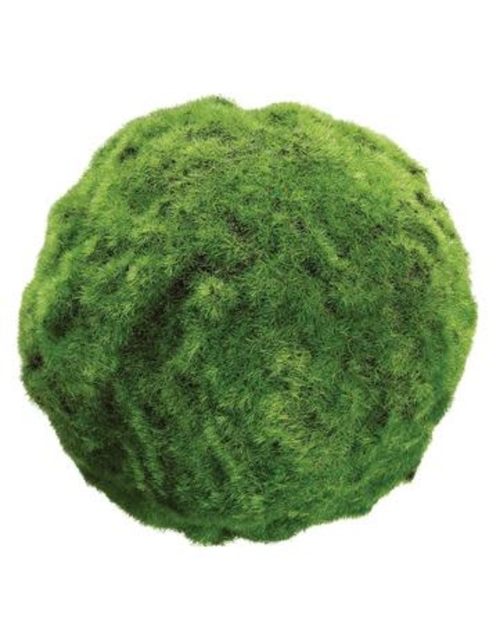 AA1111  7" Moss Ball