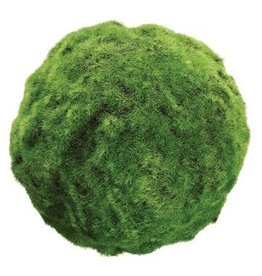 AA1111  7" Moss Ball