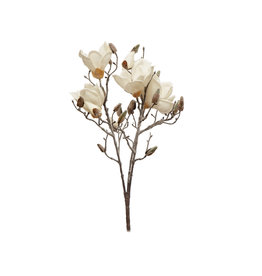 XS1174 18-1/2"H Faux Magnolia Bloom Stem, Snow Finish, White