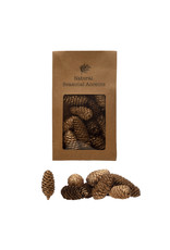 XS0883 Dried Natural Pinecones in Printed Kraft Bag