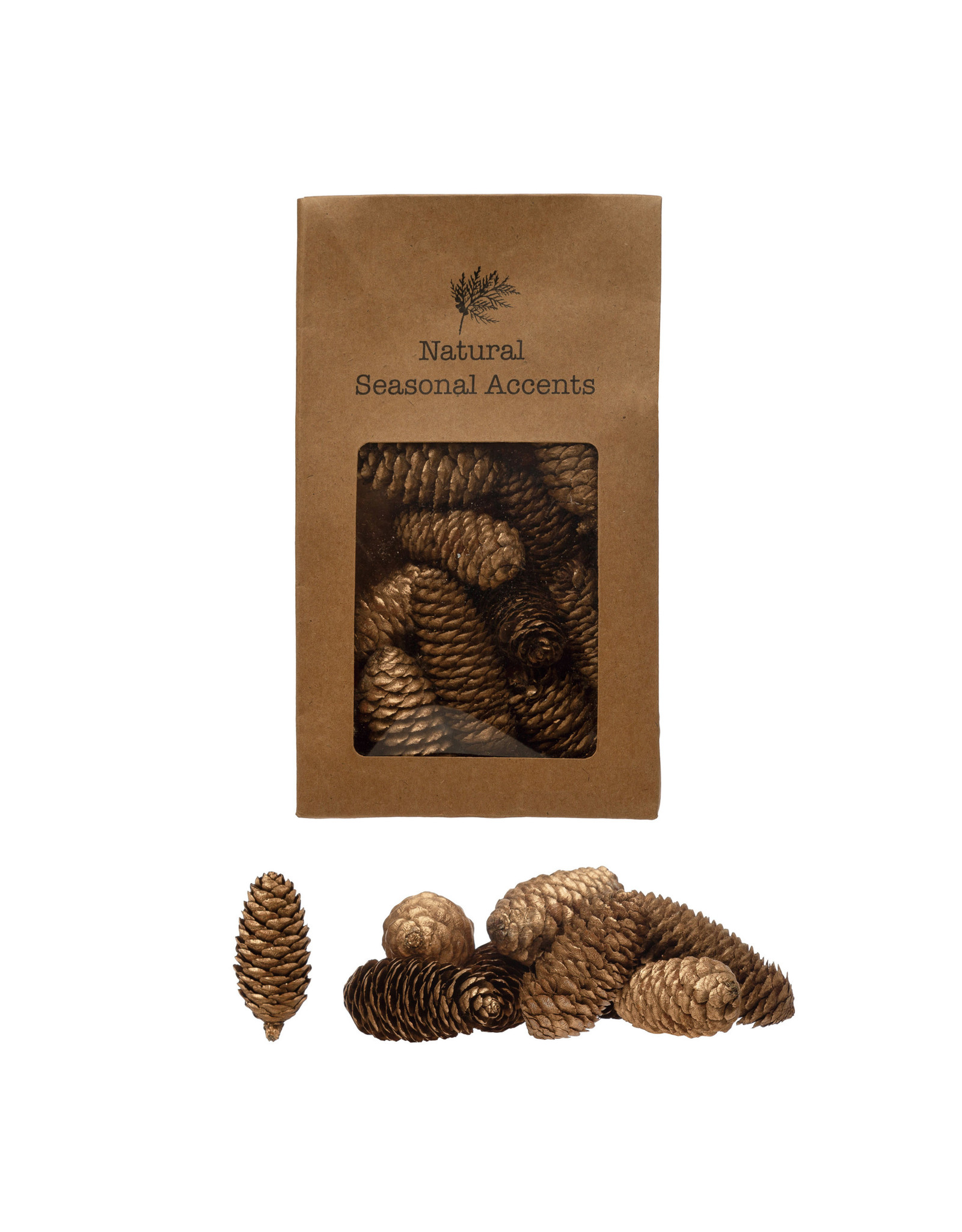 XS0883 Dried Natural Pinecones in Printed Kraft Bag