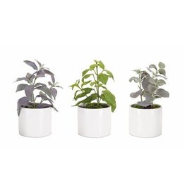 74246 Potted Herb (3 Asst) 9.5"H