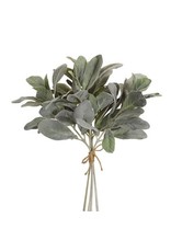 74484 Lambs Ear Bundle 14.5"H