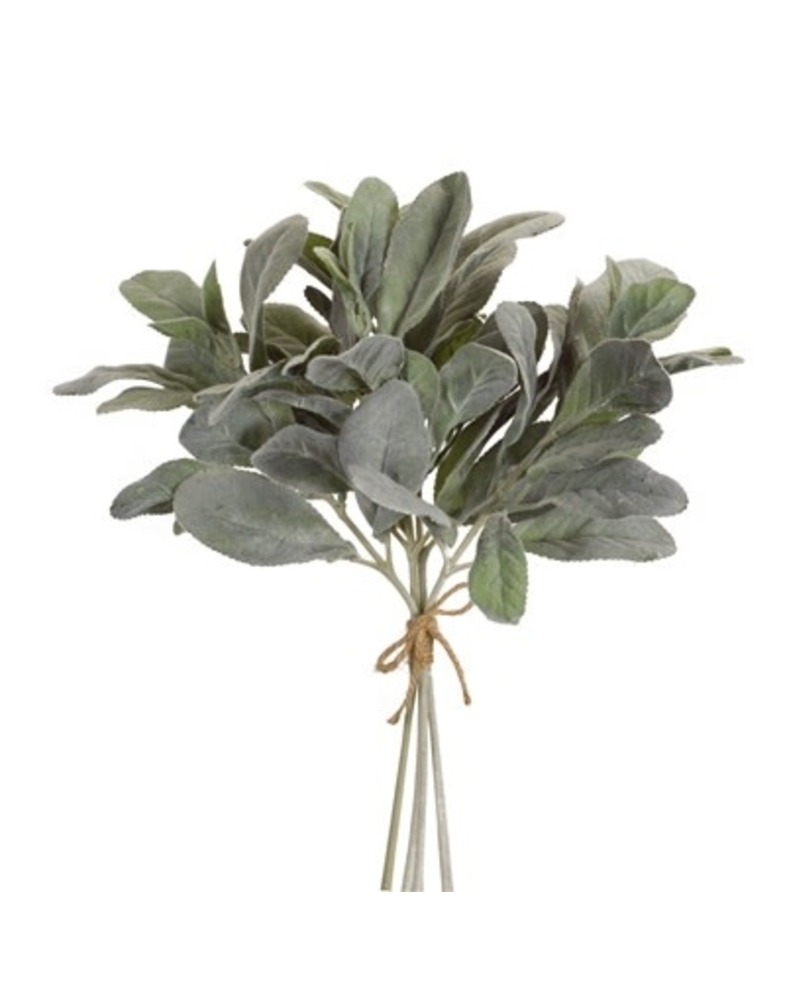 74484 Lambs Ear Bundle 14.5"H