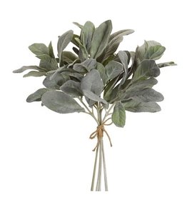 74484 Lambs Ear Bundle 14.5"H