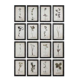 DA6930A 15-3/4"H Wall Art Floral Multiple Styles EACH