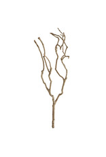 Natural Tea Tree Branch DA6715