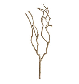 Natural Tea Tree Branch DA6715