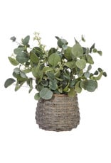 4006646 13.75" Eucalyptus Arrangement