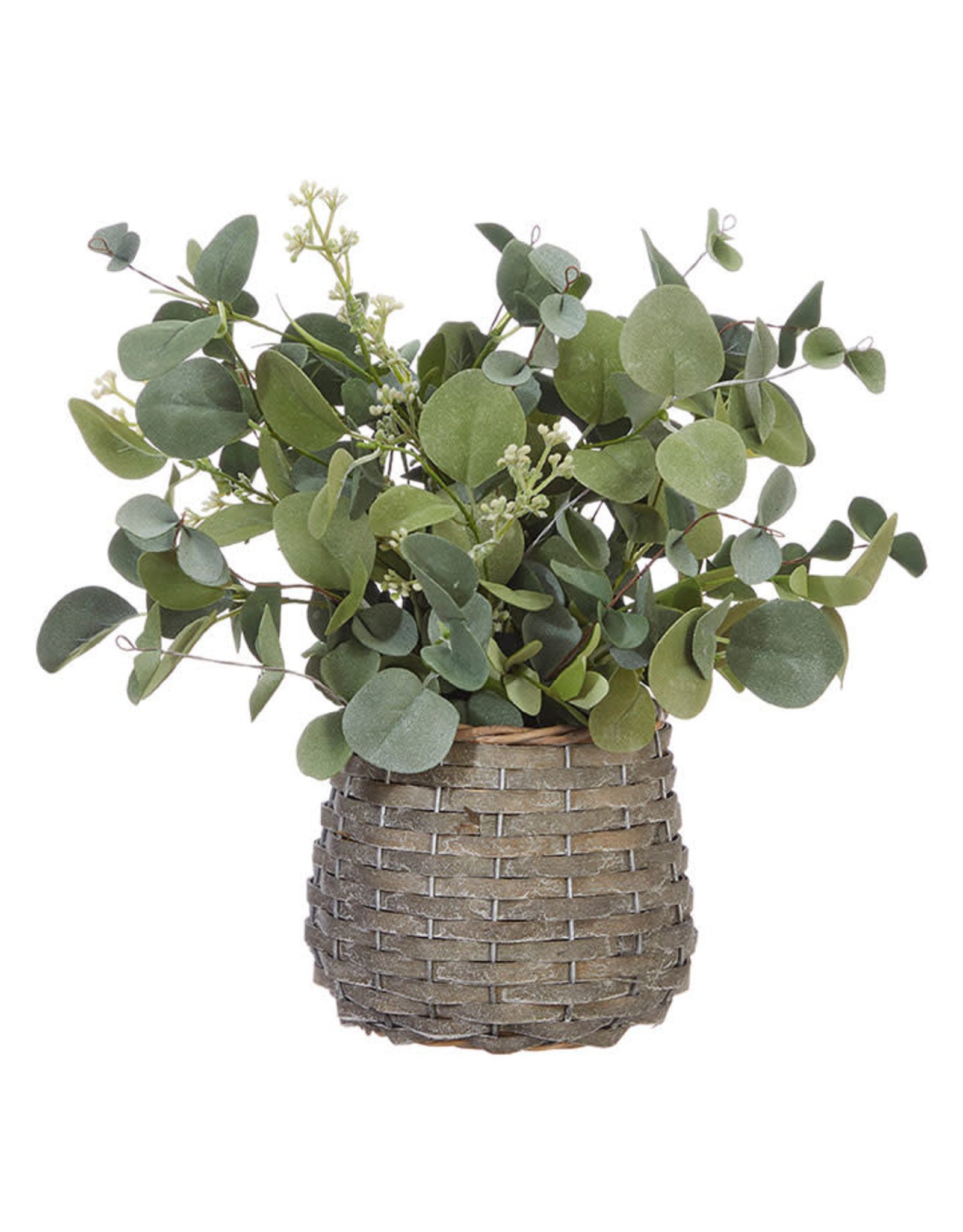 4006646 13.75" Eucalyptus Arrangement