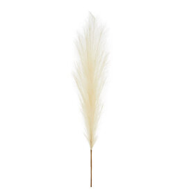 45" Pampas Grass Stem F4306706