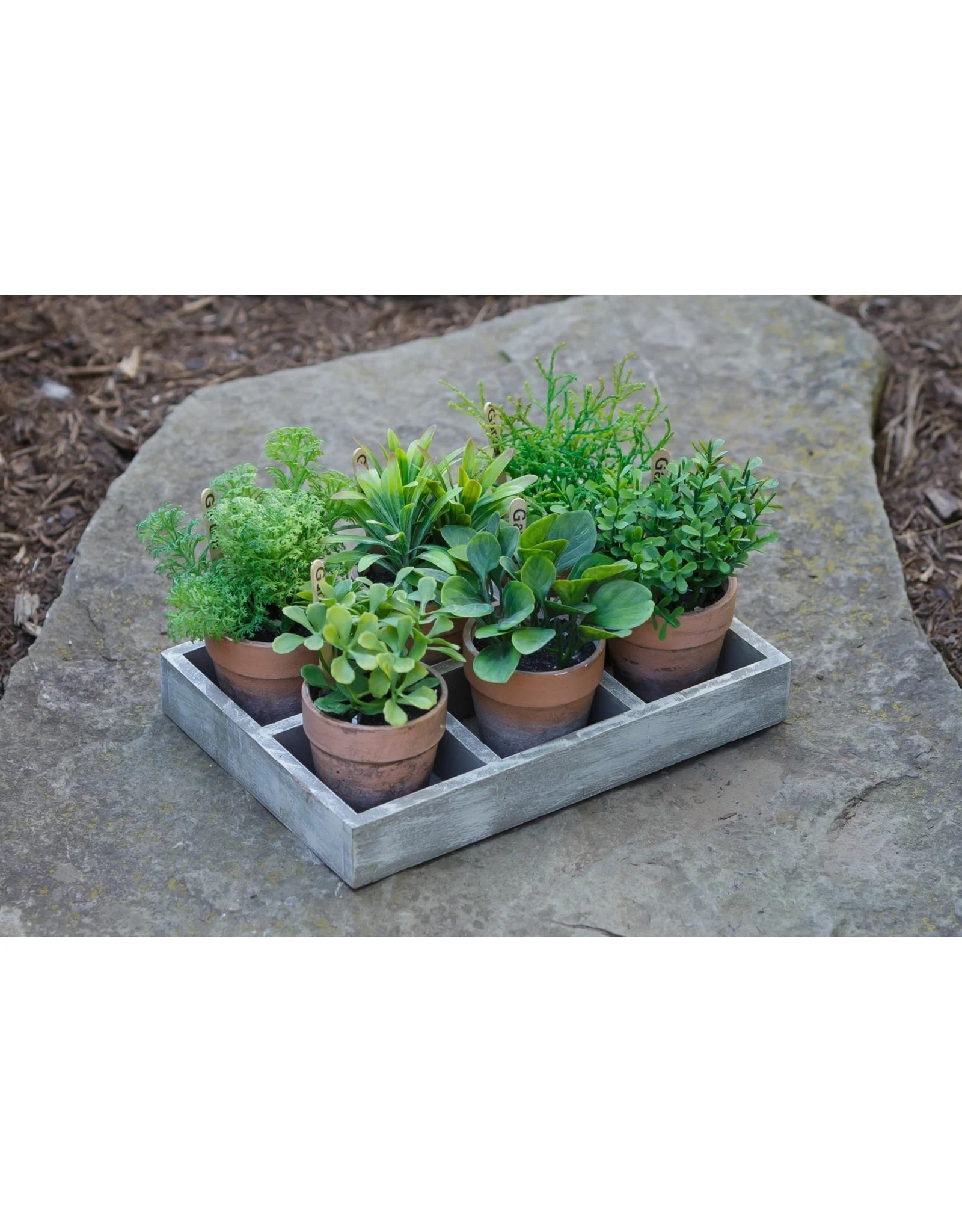 8F5853 Assorted Herbs in Tray