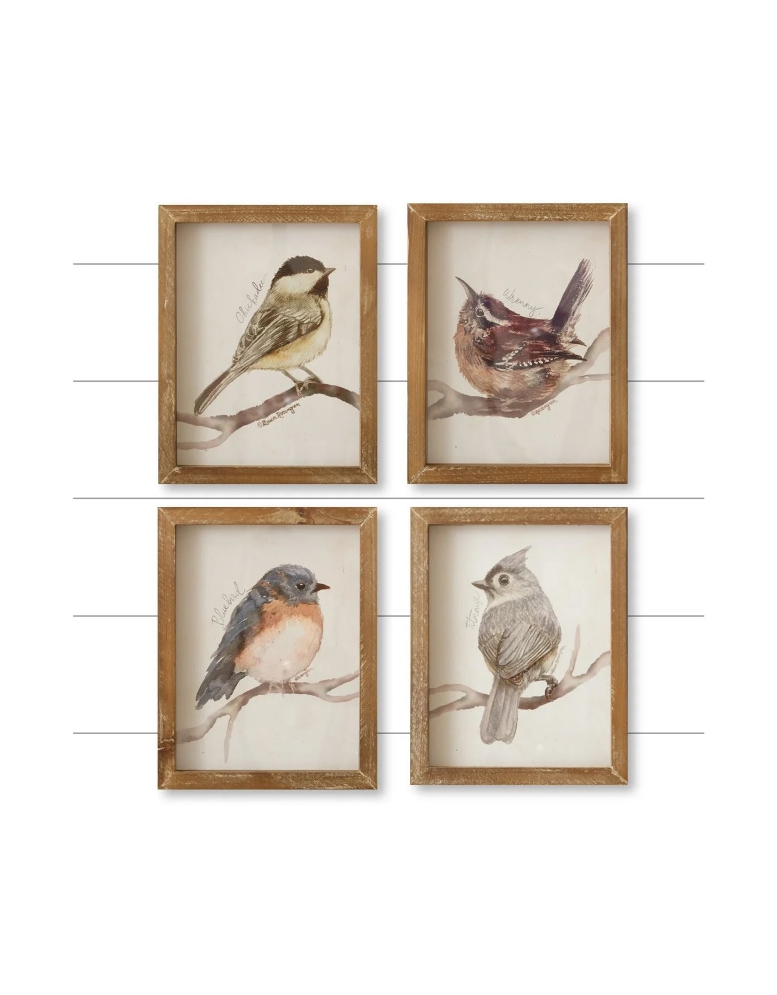 Bird Prints with names 4 styles each 8WH976