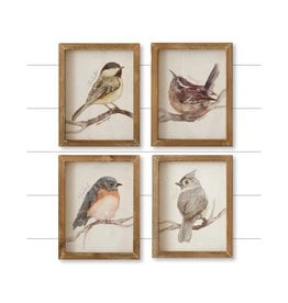 Bird Prints with names 4 styles each 8WH976