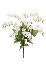 FBF120 20" Freesia Bush