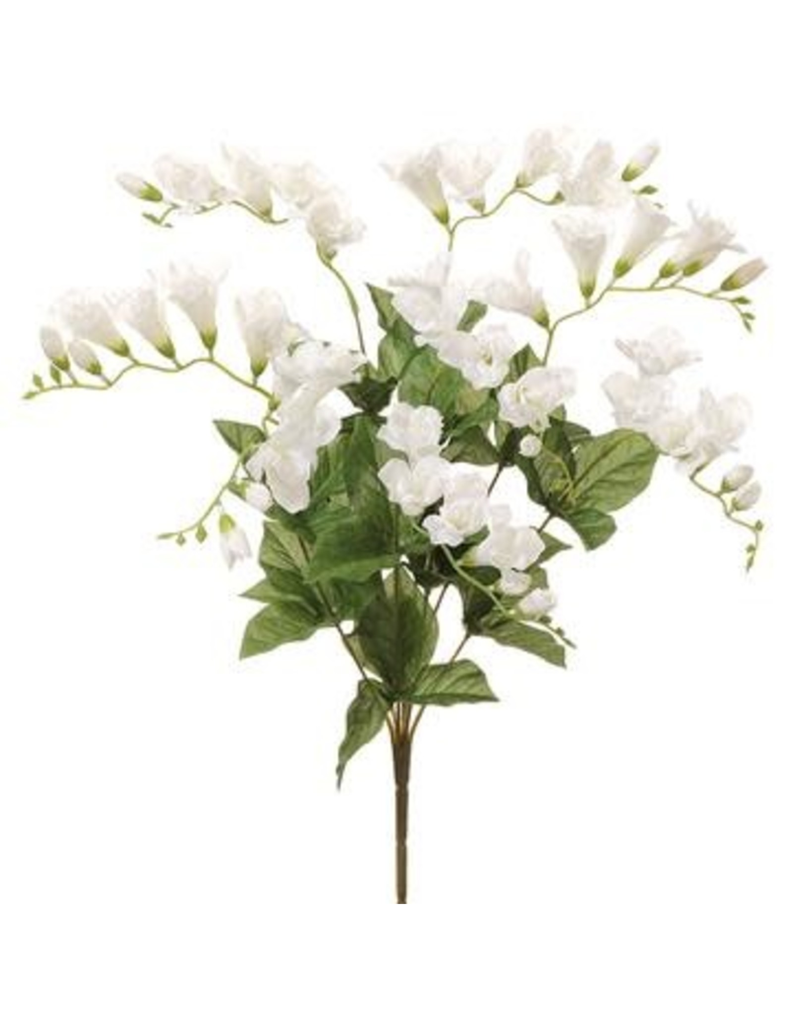 FBF120 20" Freesia Bush