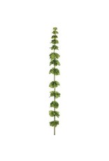 FSB418 50" Bells of Ireland Spray