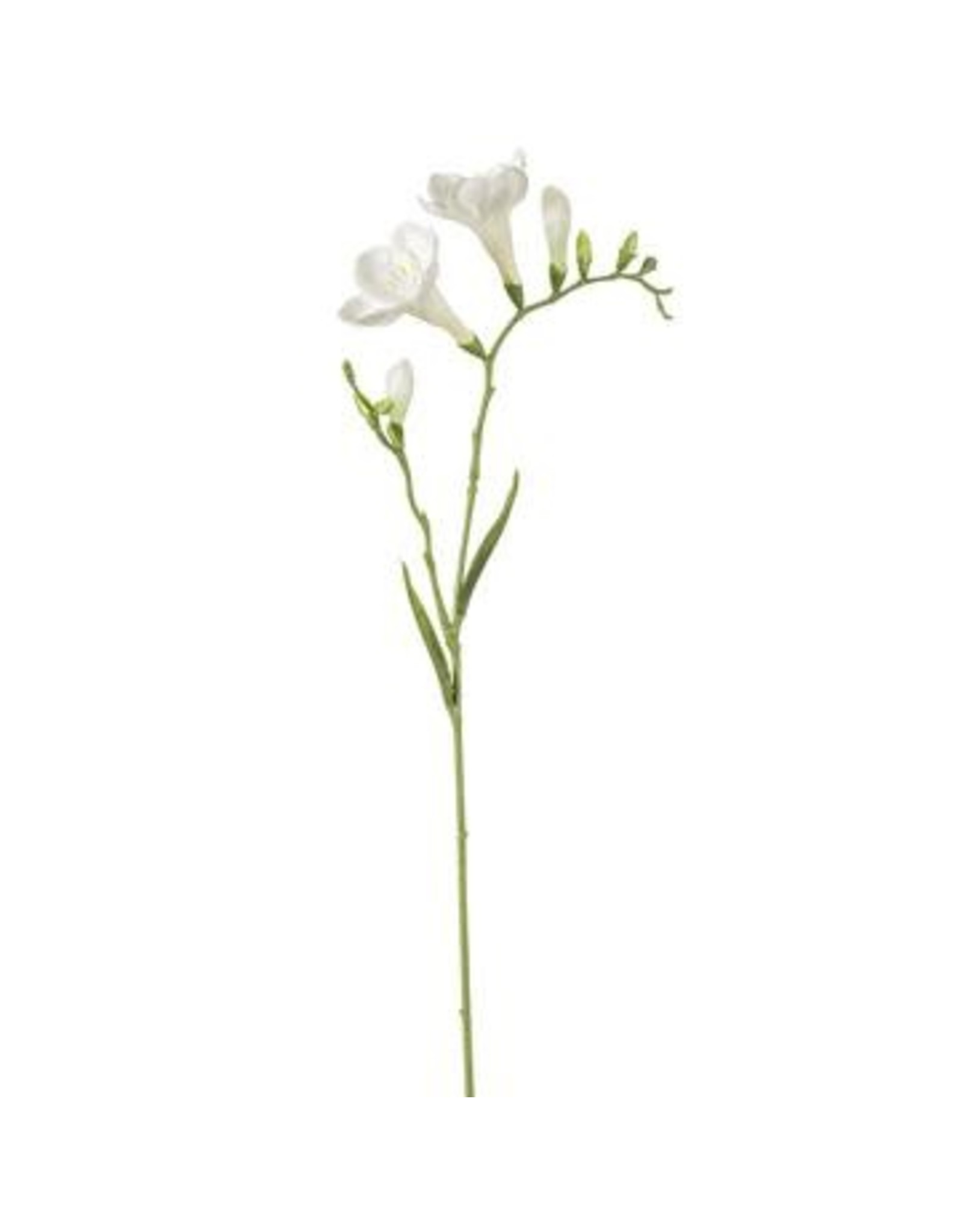 27" Freesia Spray FSF016