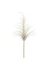FSG625  n:	57" Reed Grass Spray
