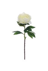 FSP524 27" Peony Spray