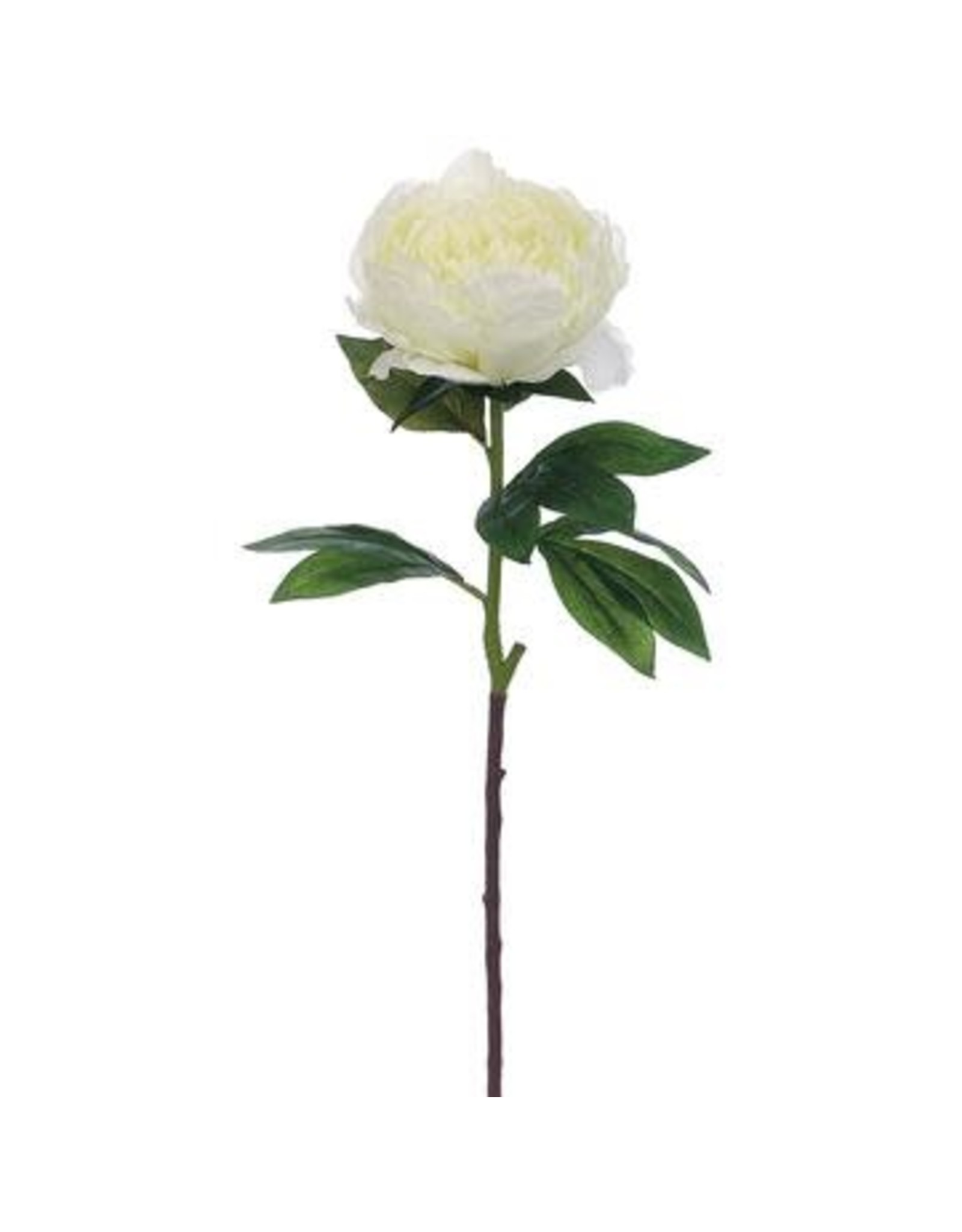 FSP524 27" Peony Spray