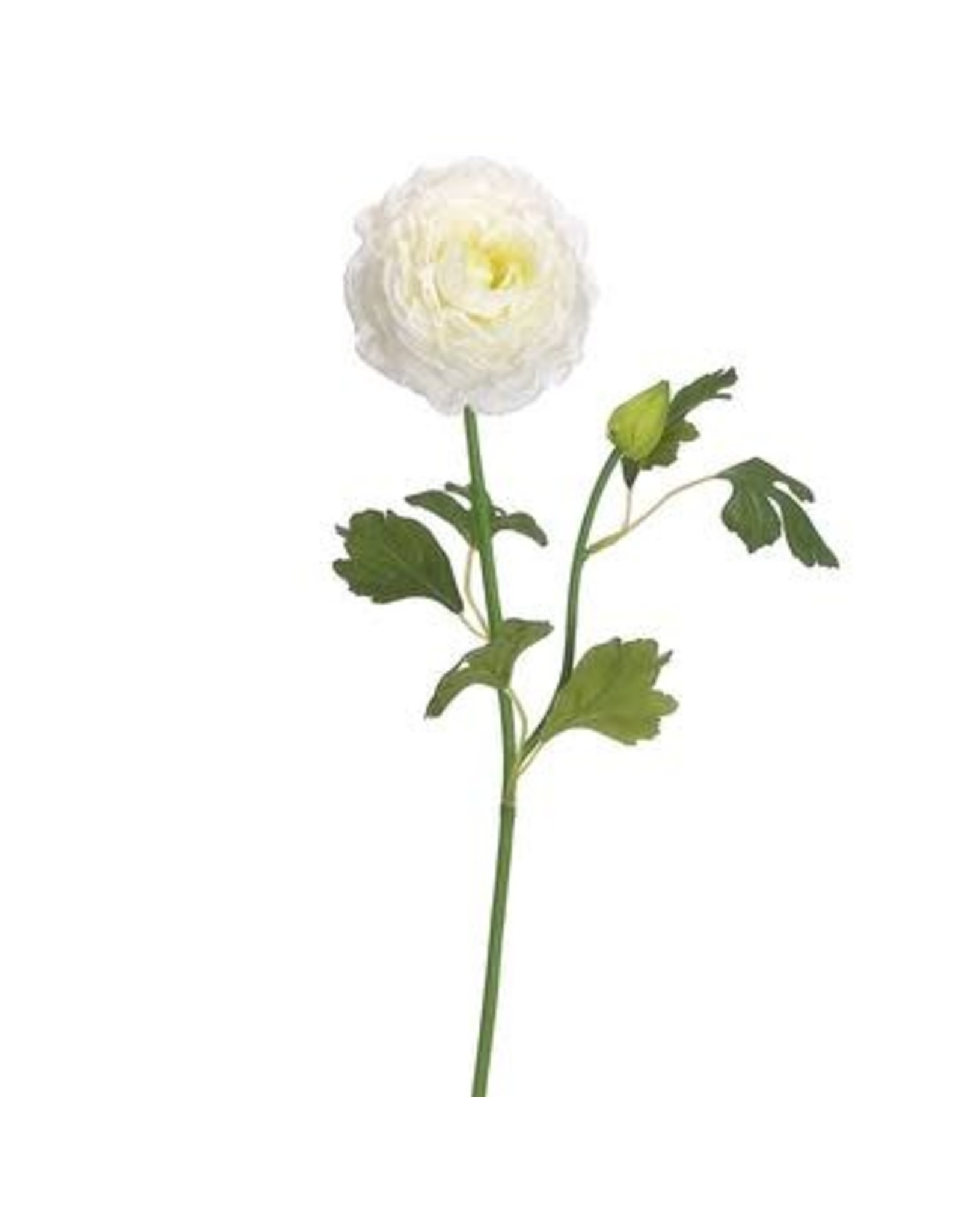 FSR167 19" Ranunculus Spray