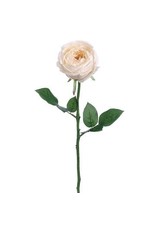 FSR564-CR 23" GARDEN CABB ROSE SPRAY