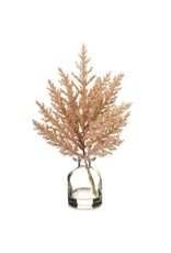 LFP060 9.5" Pampas in Glass Vase