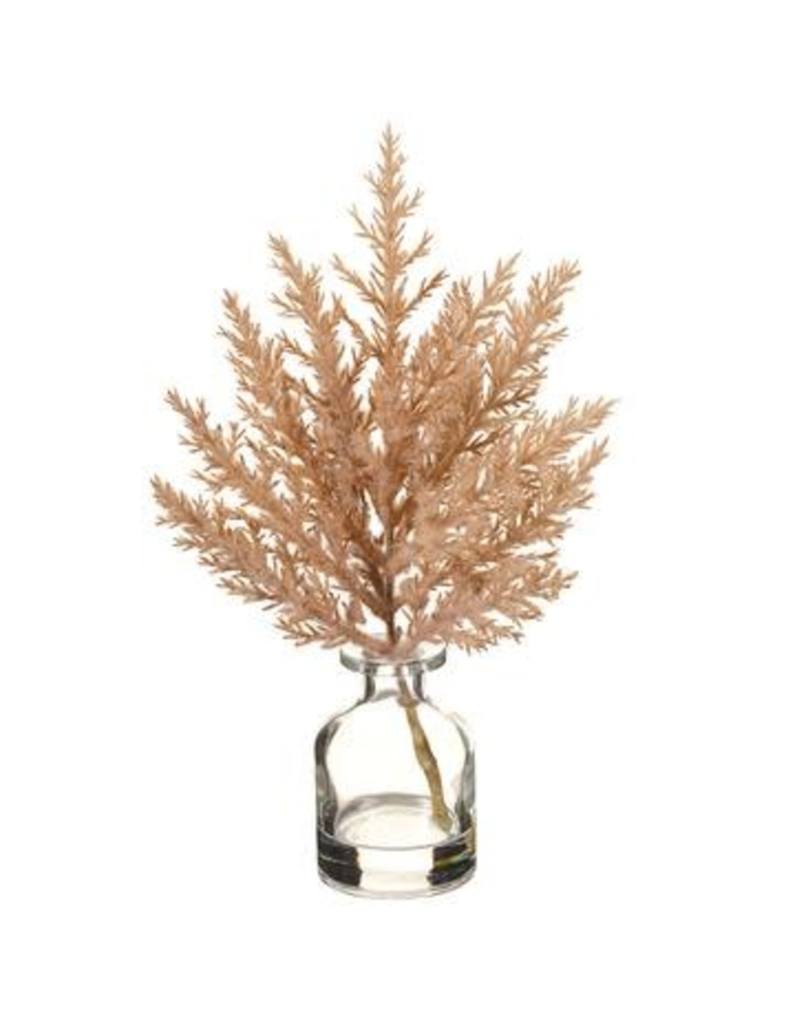 LFP060 9.5" Pampas in Glass Vase