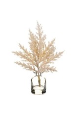 LFP060 9.5" Pampas in Glass Vase