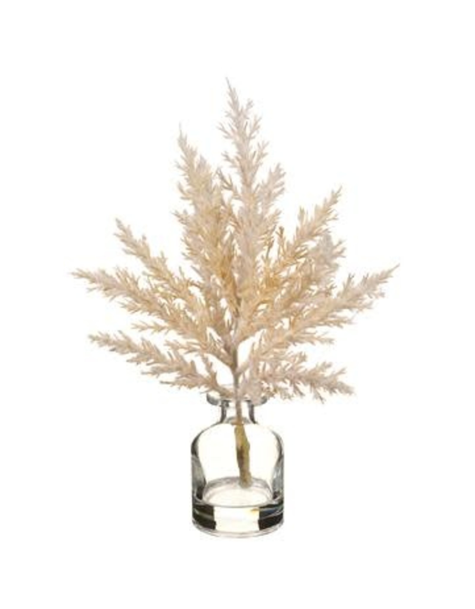 LFP060 9.5" Pampas in Glass Vase