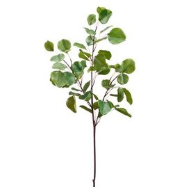 PSE603 	36" Eucalyptus Branch