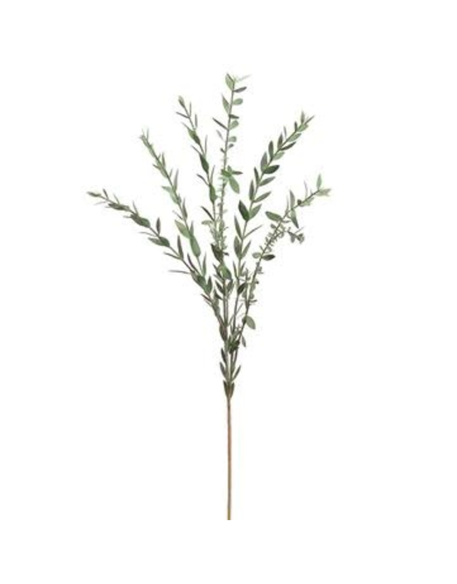 PSM117  28.5" Myrtle Spray