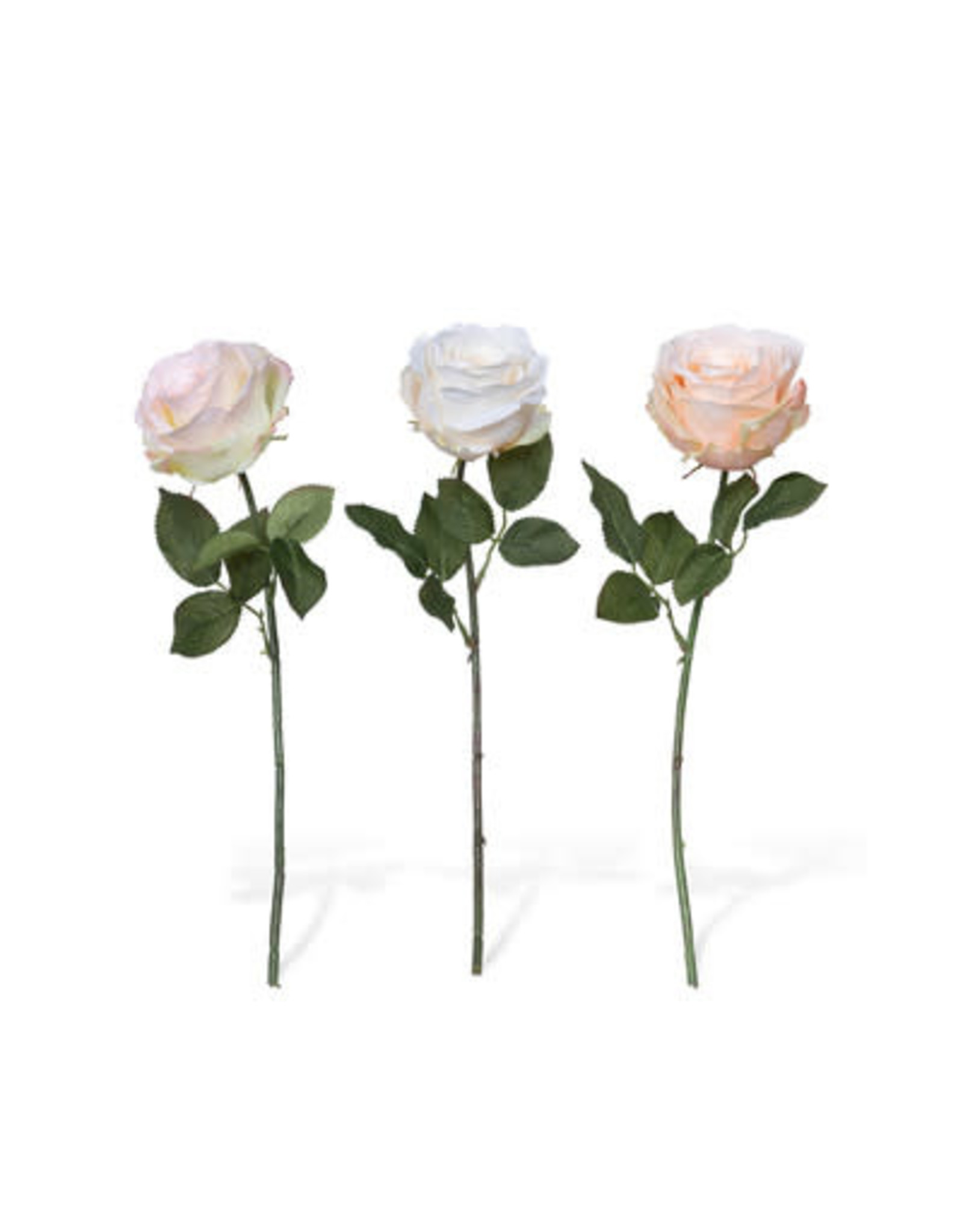 Crafted Garden Rose, Blush, 3 Assorted Colors Each EBY00542