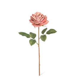 Velvet Garden Rose, Blush EBY10148