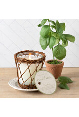 Thai Basil Willow Candle ENP30390
