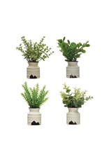 Faux Plant in Stoneware Pot, Distressed White Finish, 4 Styles, each DF7737A