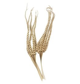 Palm Five Finger Natural 10"w x 32"h 12369