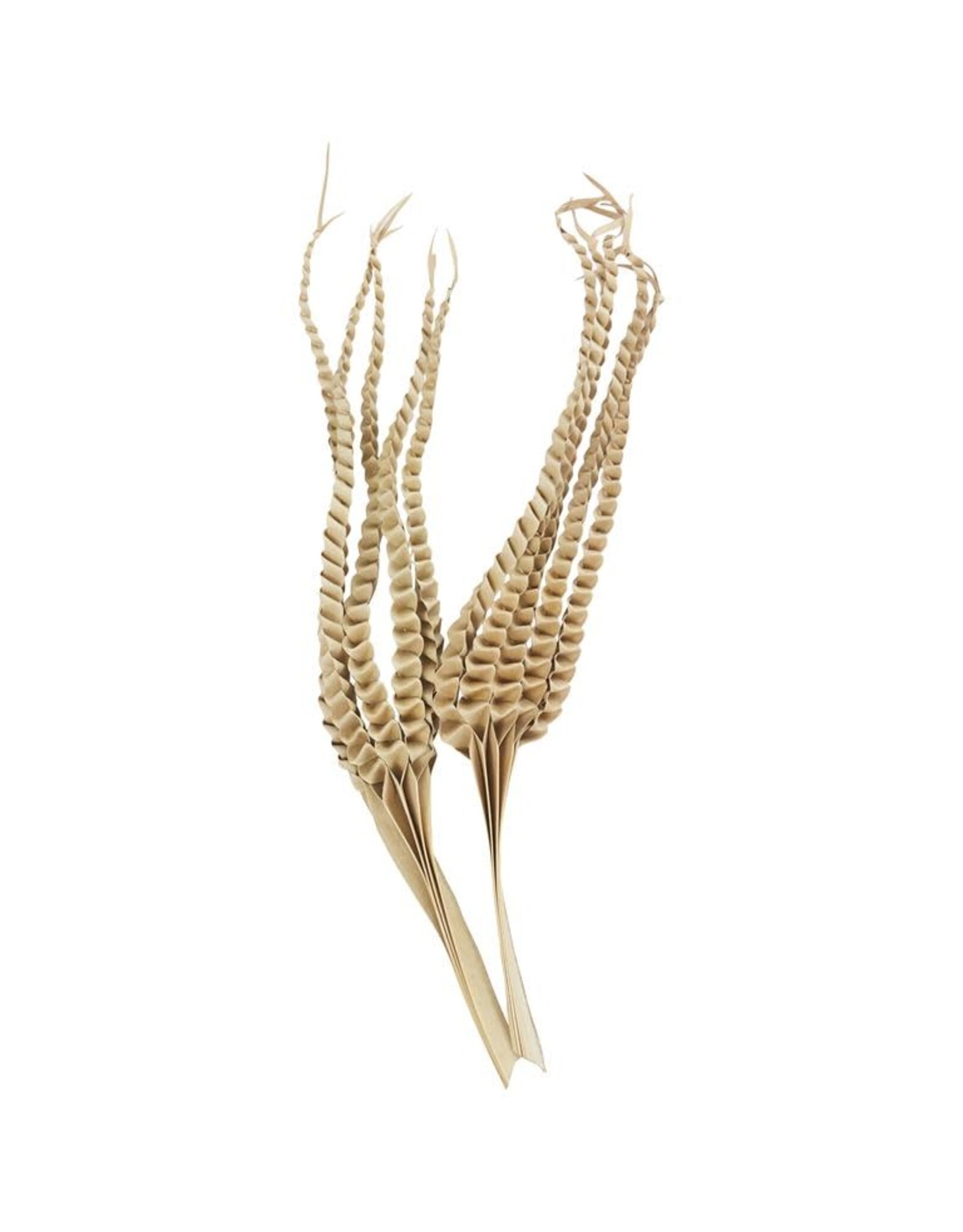 Palm Five Finger Natural 10"w x 32"h 12369