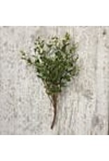 100737 Boxwood Pick 13"