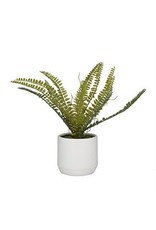 Ceramic Fern Plant 64087