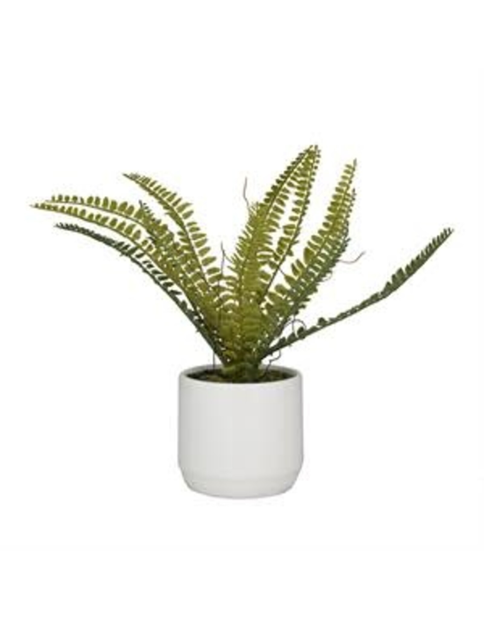 Ceramic Fern Plant 64087