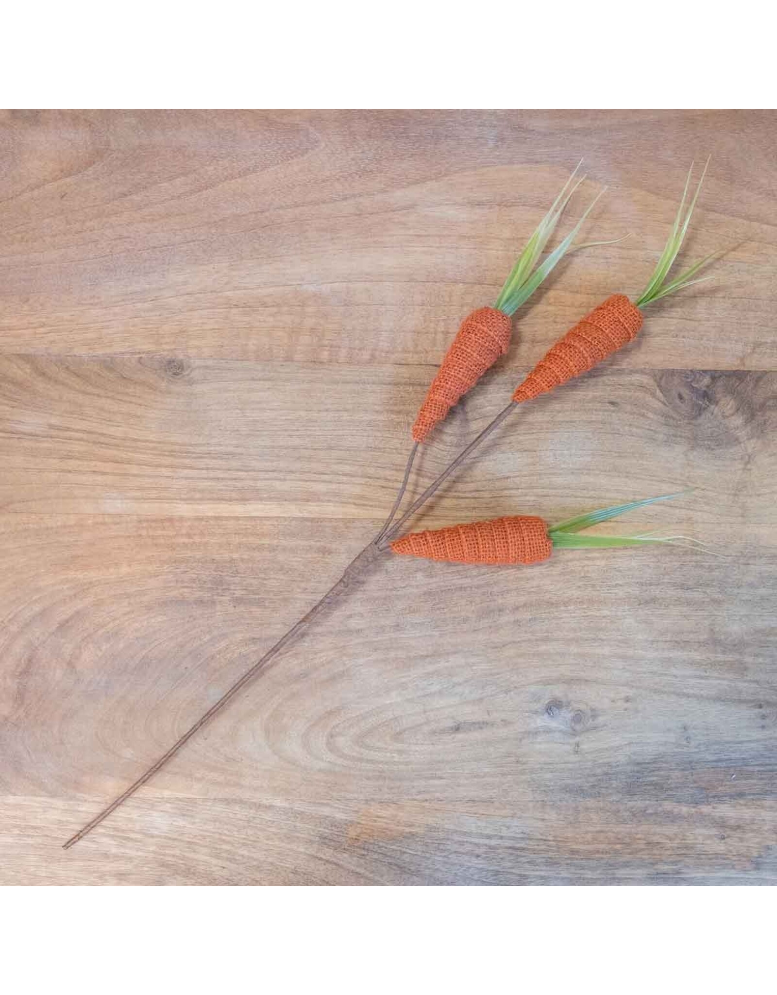 Carrot Stem 132421011