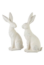 13.5" White Rabbit 2 Styles Each 4211060