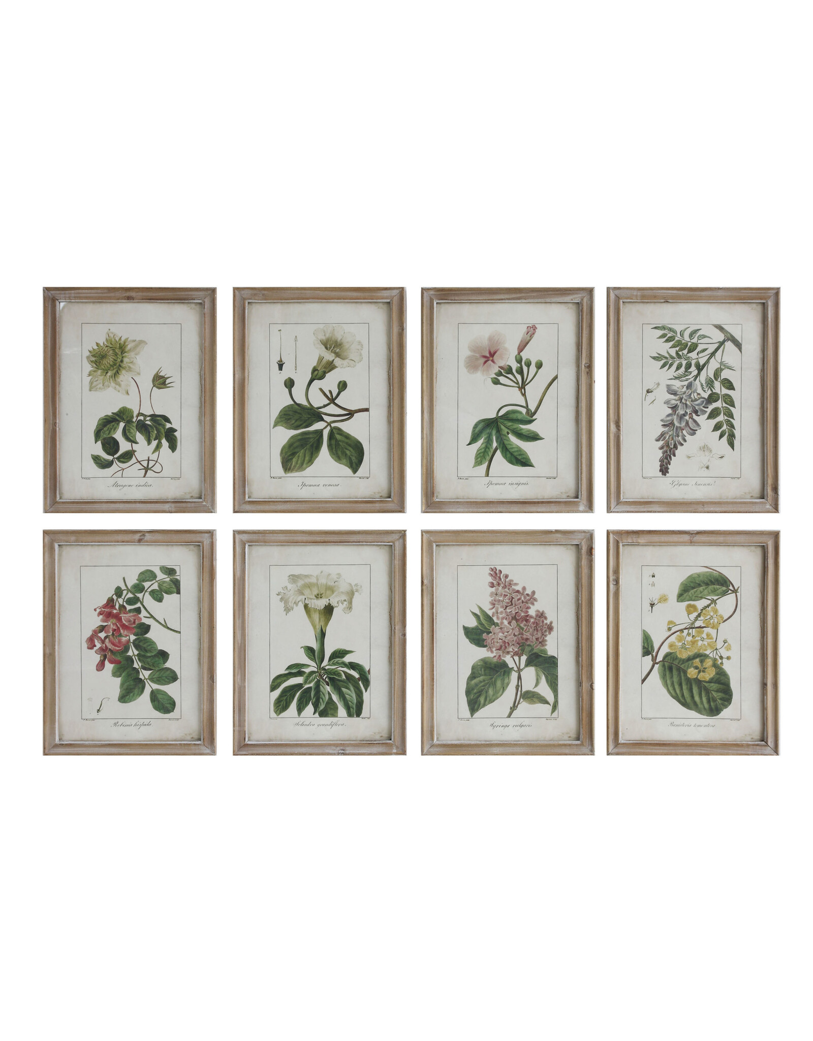 Framed Wall Decor with Floral Image, 8 Styles DA6716A